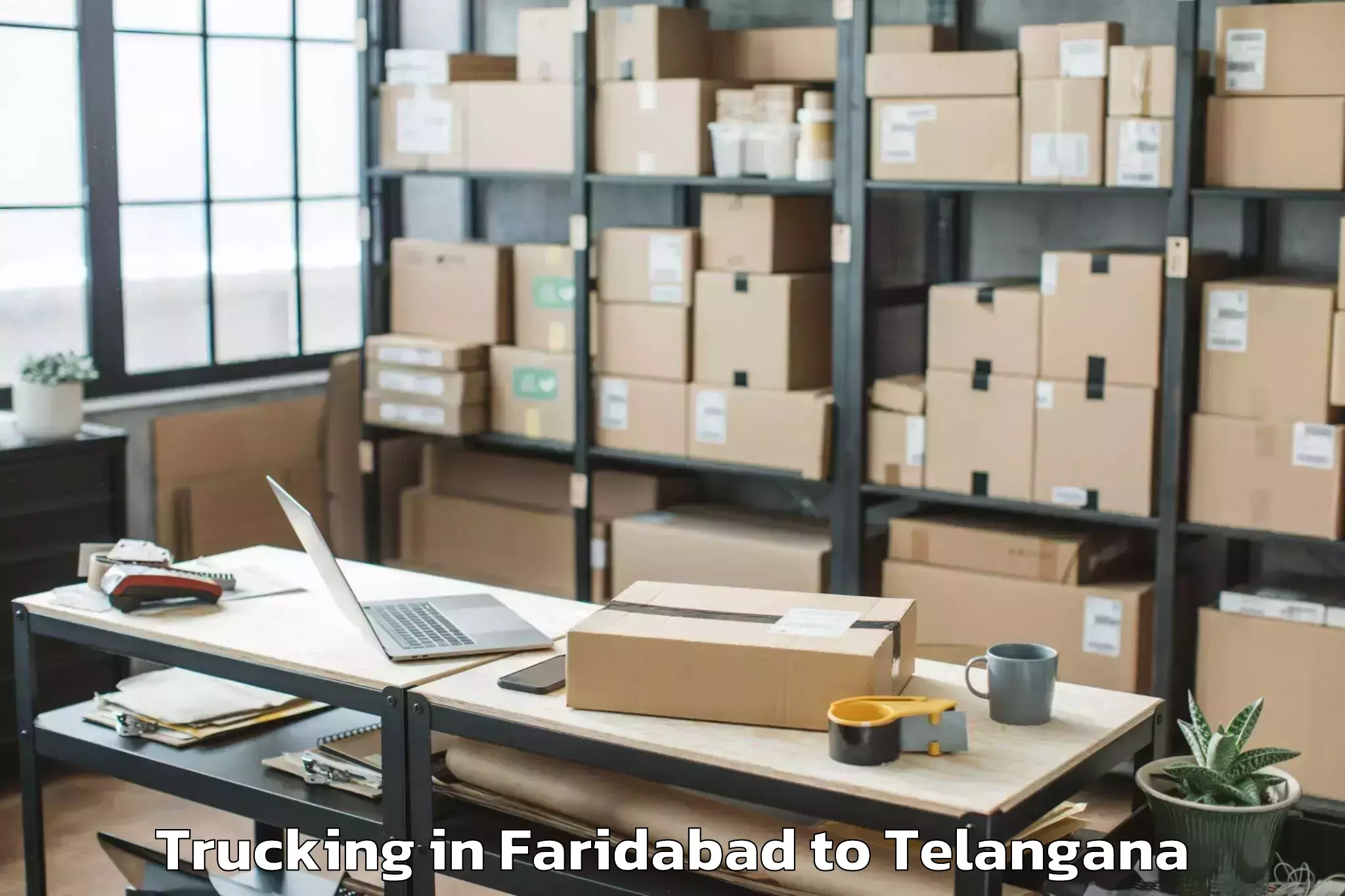 Easy Faridabad to Dameracherla Trucking Booking